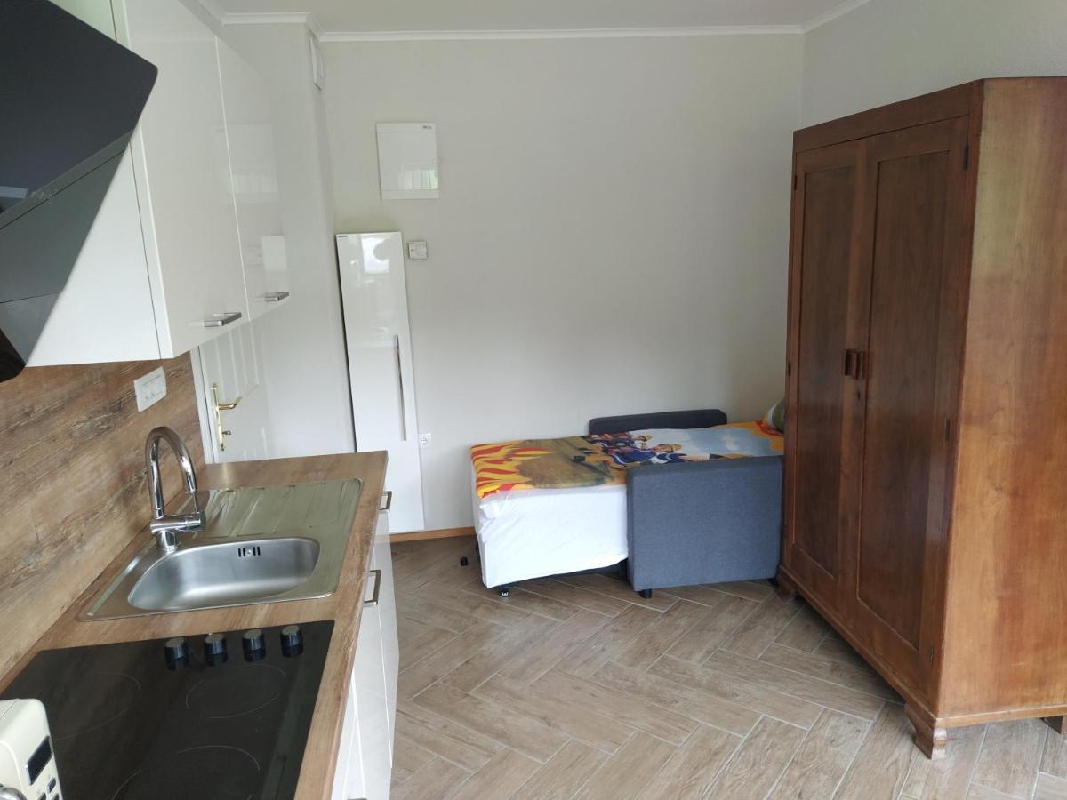 Apartmaji Maln Dolenjske Toplice Eksteriør bilde